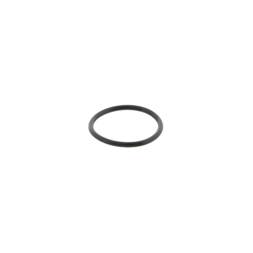 [EGS3895007] O-Ring de inyector mack