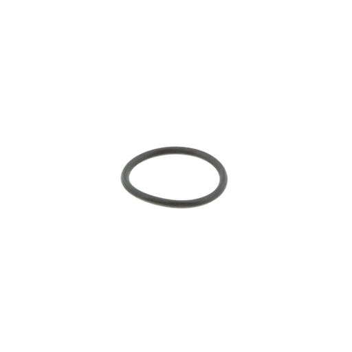 [EGS3895009] O-Ring de inyector mack