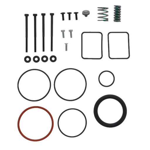 [5230001G] Kit reparacion inyector S60